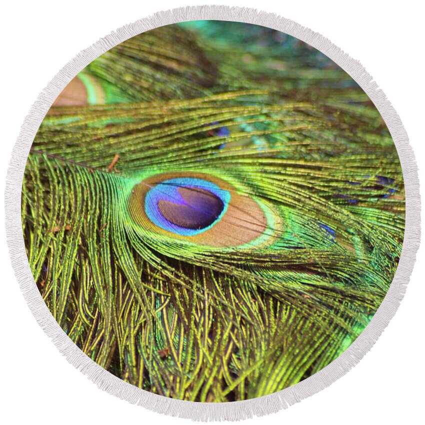 Bird Round Beach Towel featuring the photograph Peacock Feathers by Kimberly Blom-Roemer