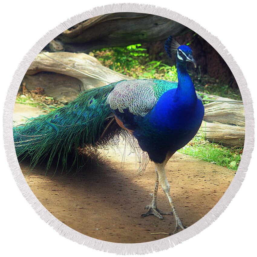 Strut Round Beach Towel featuring the photograph Peacock Proud by Lori Seaman