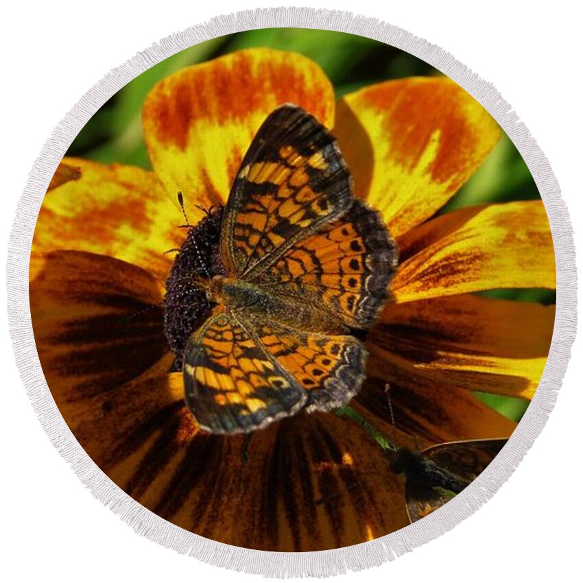 Butterfly Round Beach Towel featuring the photograph Pearl Crescent by Carl Moore