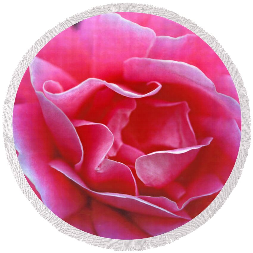 Peggy Lee Rose Round Beach Towel featuring the photograph Peggy Lee Rose Bridal Pink by David Zanzinger
