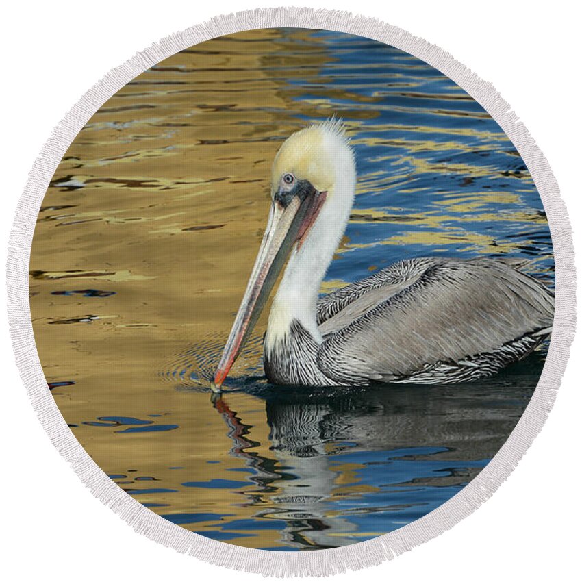 California Brown Pelican Round Beach Towel featuring the photograph Pelican In Watercolors by Fraida Gutovich