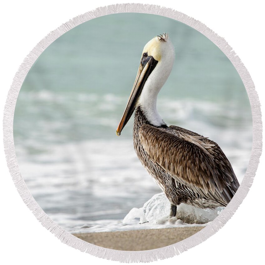 Florida Round Beach Towel featuring the photograph Pelican Waves by Karin Pinkham