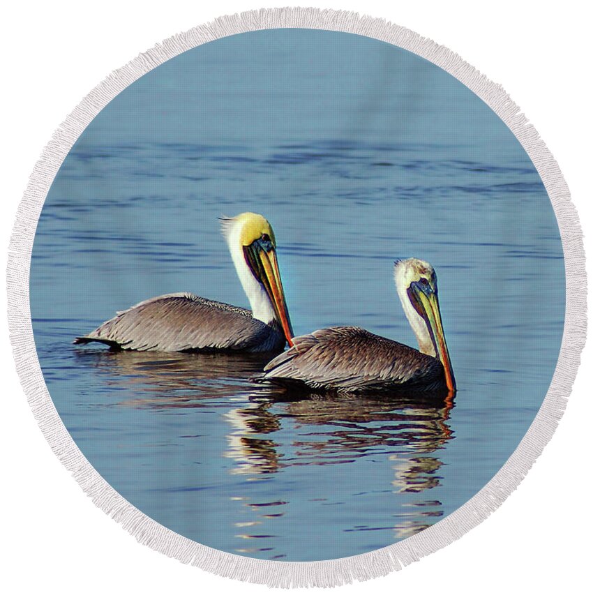 Pelican Round Beach Towel featuring the painting Pelicans 2 Together by Michael Thomas