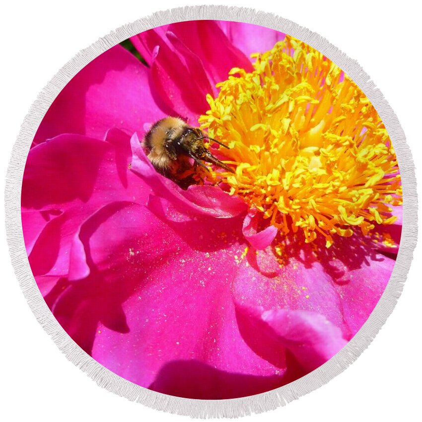 Bee Round Beach Towel featuring the photograph Peony and bumble bee by Jean Evans