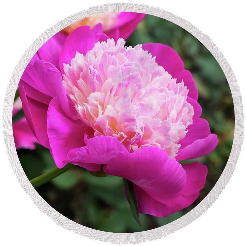 Peony Round Beach Towel featuring the photograph Peony by Chris Berrier