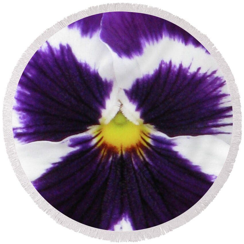 Pansy Round Beach Towel featuring the photograph Perfectly Pansy 03 by Pamela Critchlow