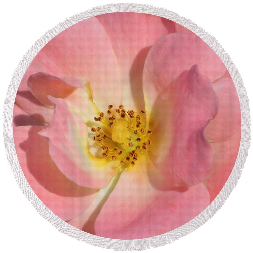 Nature Round Beach Towel featuring the photograph Perfectly Pink by Sheila Brown