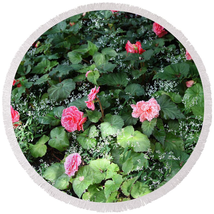 Rosy Begonias Round Beach Towel featuring the painting Petals and Lace by Portraits By NC