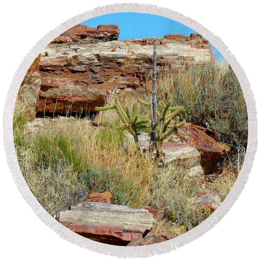 Petrified Forest Round Beach Towel featuring the photograph Petrified Forest Landscape by Aimee Mouw