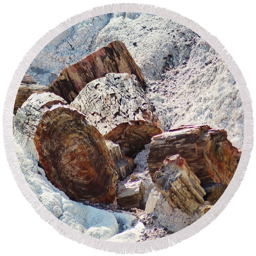 Petrified Round Beach Towel featuring the photograph Petrified Wood - Square by Marcia Socolik