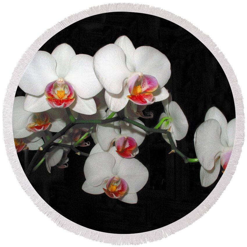 Phalaenopsis Orchids Round Beach Towel featuring the photograph Phalaenopsis Orchids by Joyce Dickens