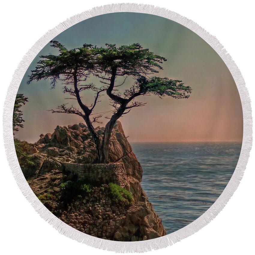 Cypress Round Beach Towel featuring the photograph Photogenic Tree by Hanny Heim