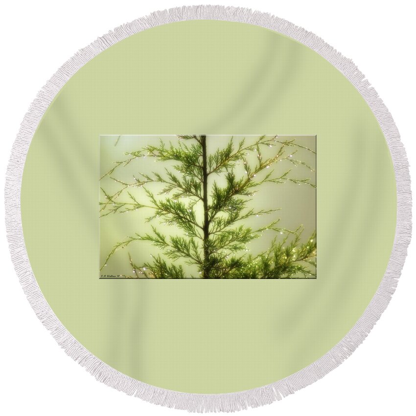 2d Round Beach Towel featuring the photograph Pine Shower by Brian Wallace
