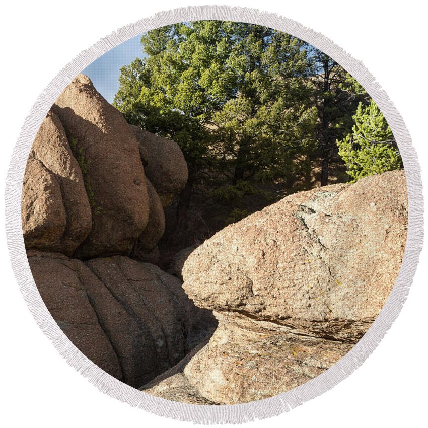 Pine Round Beach Towel featuring the photograph Pines in Granite by Tim Newton