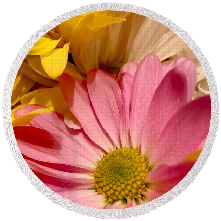 Pink Mum Round Beach Towel featuring the photograph Pink and Yellow Mums by CAC Graphics
