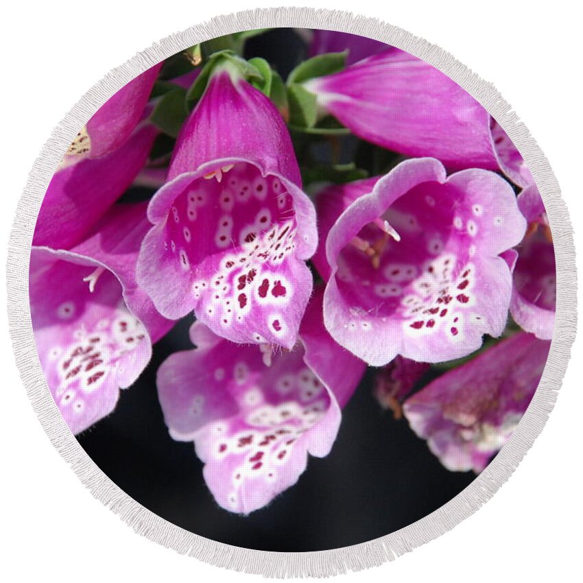 Pink Flowers Round Beach Towel featuring the photograph Pink Bells by Ee Photography