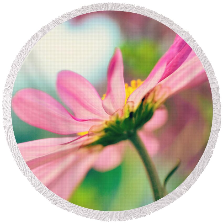 Flower Round Beach Towel featuring the photograph Pink Bliss by Kelly Nowak