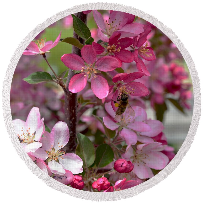 Springtime Round Beach Towel featuring the photograph Pink Blossoms with Bee by Kae Cheatham
