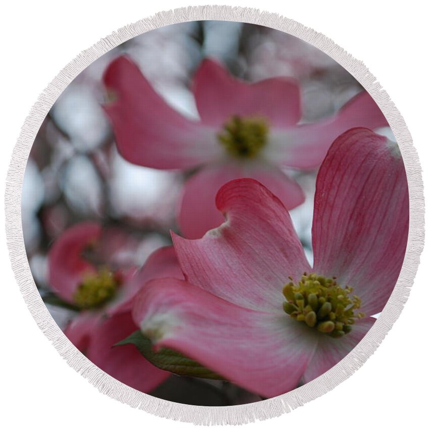 Floral Round Beach Towel featuring the photograph Pink Dogwood Blossoms by Emily Page