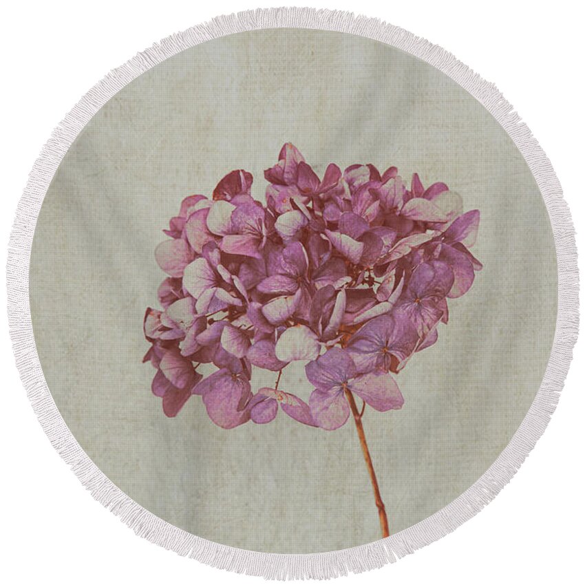 Beauty Round Beach Towel featuring the photograph Pink Dried Hydrangea by Maria Heyens