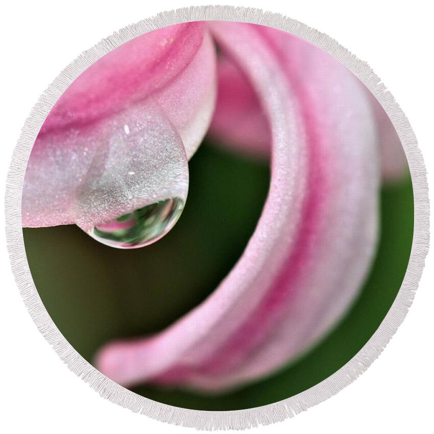 Pink Round Beach Towel featuring the photograph Pink Droplet by Tracey Lee Cassin