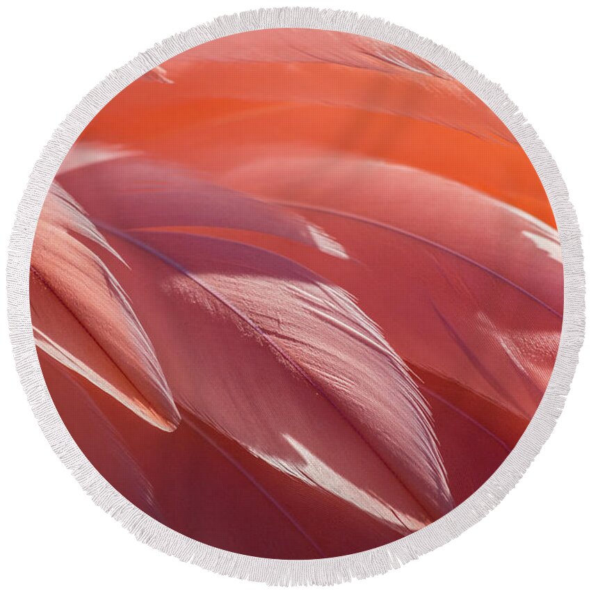 Abstract Round Beach Towel featuring the photograph Pink Flamingo by Holly Ross