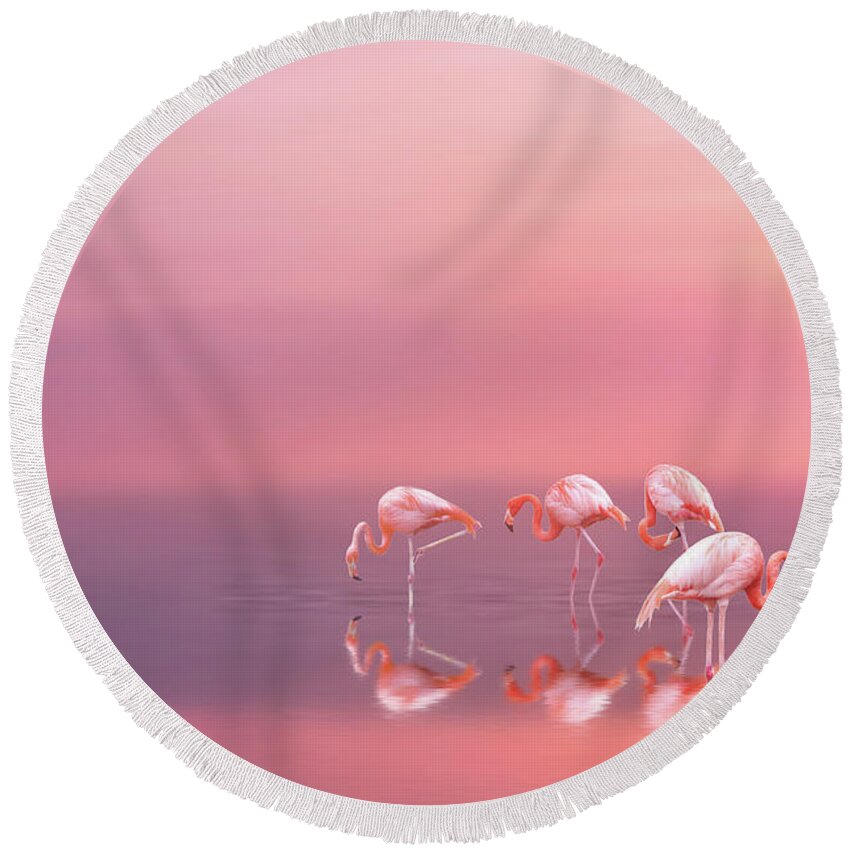 Pink Flamingos Round Beach Towel featuring the photograph Pink flamingos by Lilia S