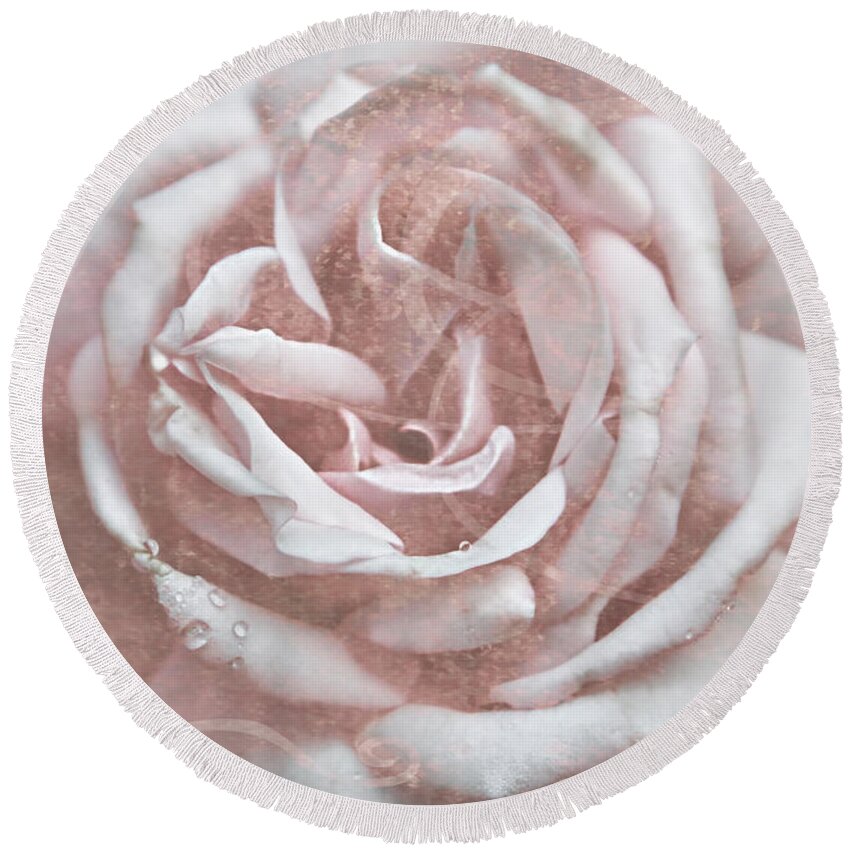 Old Garden Rose Round Beach Towel featuring the photograph Pink Garden Rose by Patricia Montgomery
