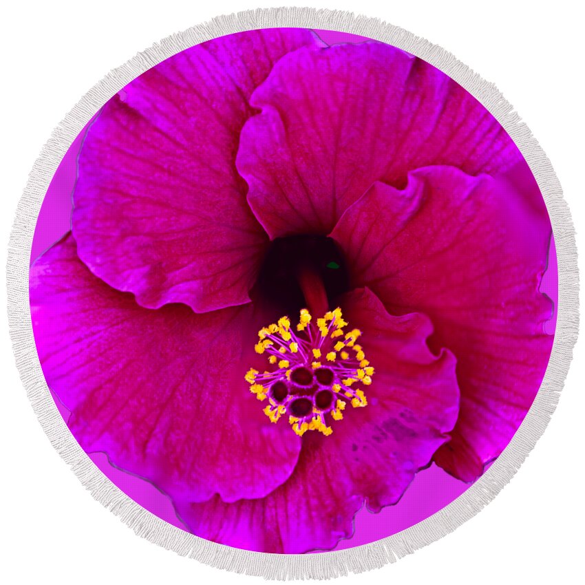Beauty Round Beach Towel featuring the photograph Pink Hibiscus h50 by Mark Myhaver