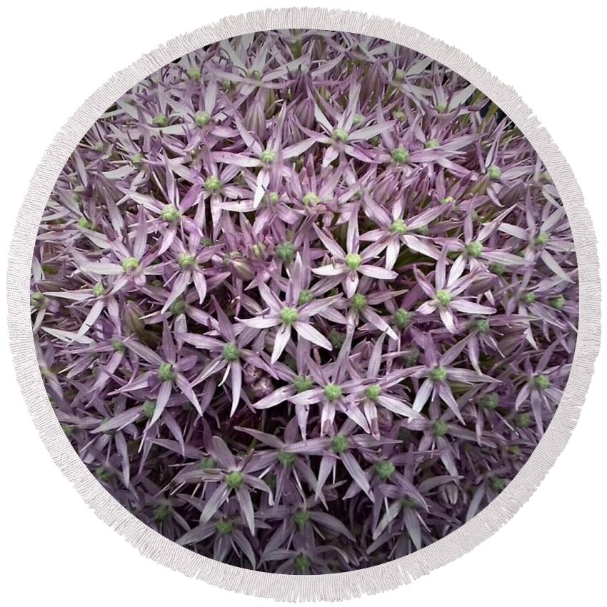 Pinks Flowers Round Beach Towel featuring the photograph Pink Jewel Allium by Joan-Violet Stretch