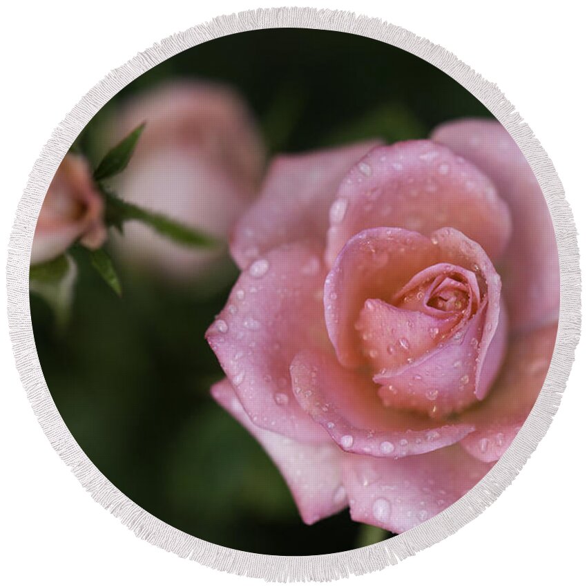 Beautiful Photos Round Beach Towel featuring the photograph Pink Miniature Roses 3 by Roger Snyder
