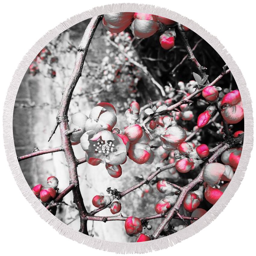  Round Beach Towel featuring the photograph Pink Paradise Apple by Jarek Filipowicz