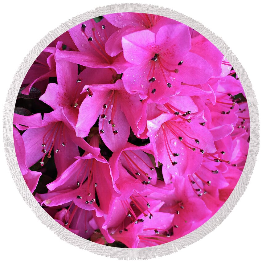 Flower Round Beach Towel featuring the photograph Pink Passion in the Rain by Sherry Hallemeier