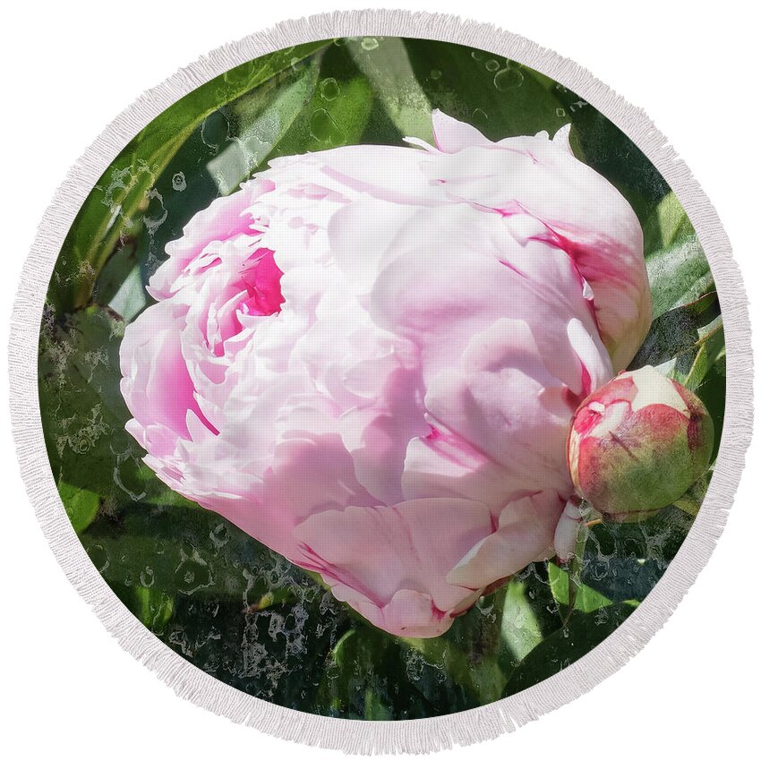Pink Peony Round Beach Towel featuring the photograph Pink Peony IIl by Scott and Dixie Wiley