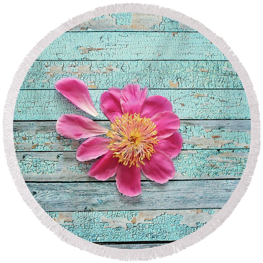 Nature Round Beach Towel featuring the photograph Pink Peony On Aqua by Sylvia Cook