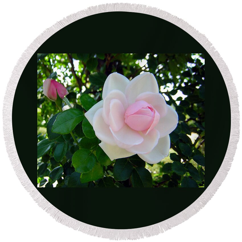 Rose Round Beach Towel featuring the photograph Pink Rose 2 by George Jones
