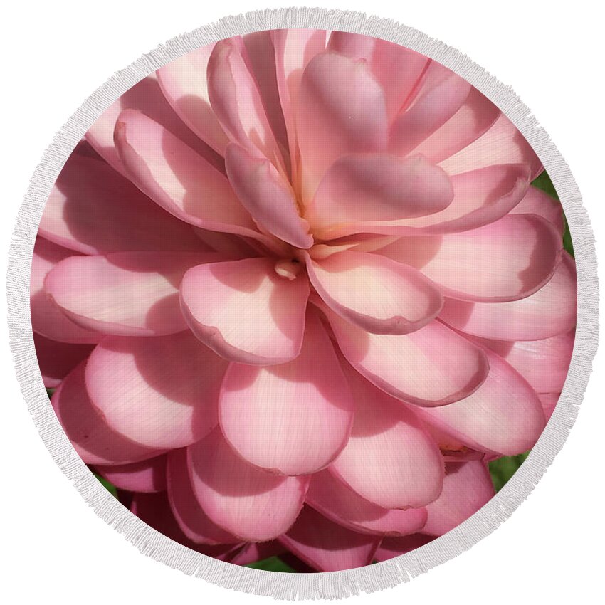 Hawaii Round Beach Towel featuring the photograph Pink Torch Ginger by Teresa Wilson