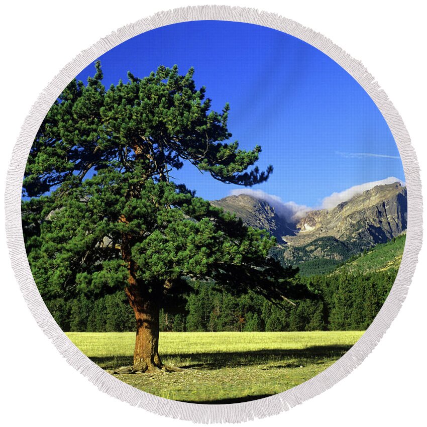 Rocky Mountain National Park Round Beach Towel featuring the photograph Pine tree, Rocky Mountain National Park, Colorado by Kevin Shields