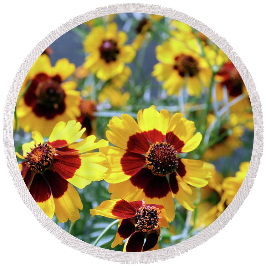 Plains Coreopsis Round Beach Towel featuring the photograph Plains Coreopsis by Marna Edwards Flavell