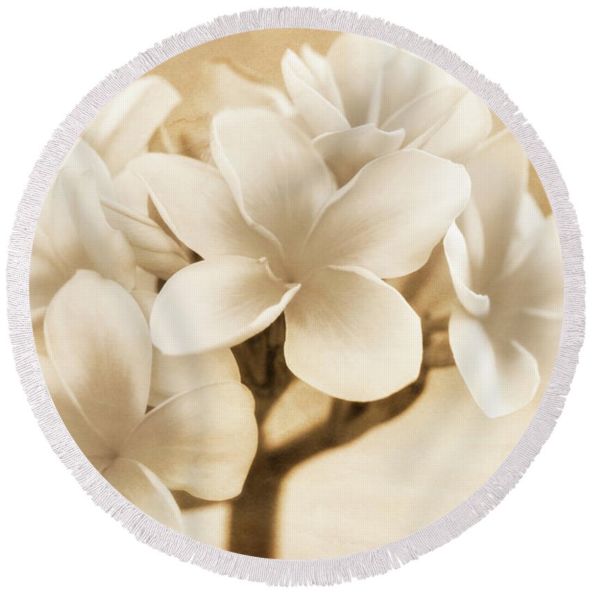 Plumerias Round Beach Towel featuring the photograph Plumerias in Cream and Brown by Jade Moon