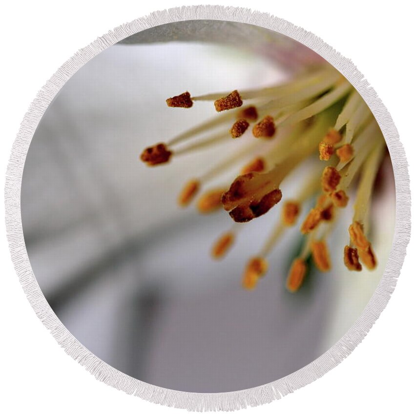 Alive Flower Stamens Petal Pollen Round Beach Towel featuring the photograph Pollen by Ian Sanders