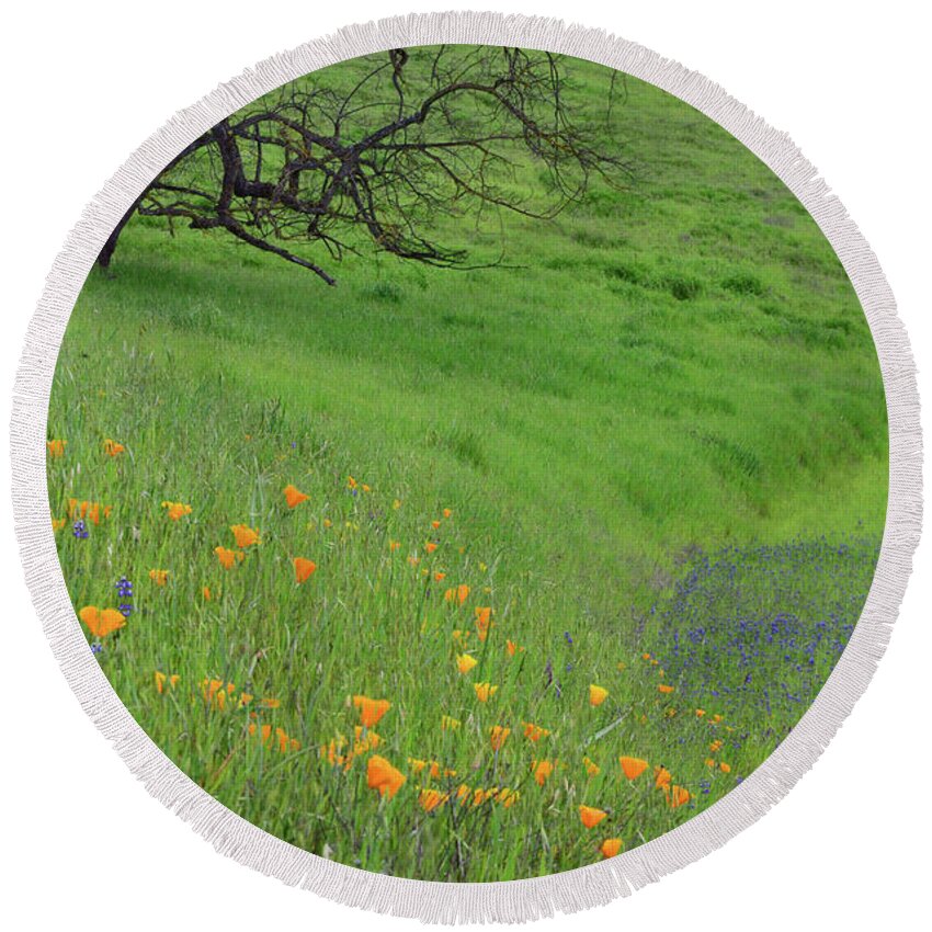 Poppies Round Beach Towel featuring the photograph Poppy and Lupine Meadow by Kathy Yates