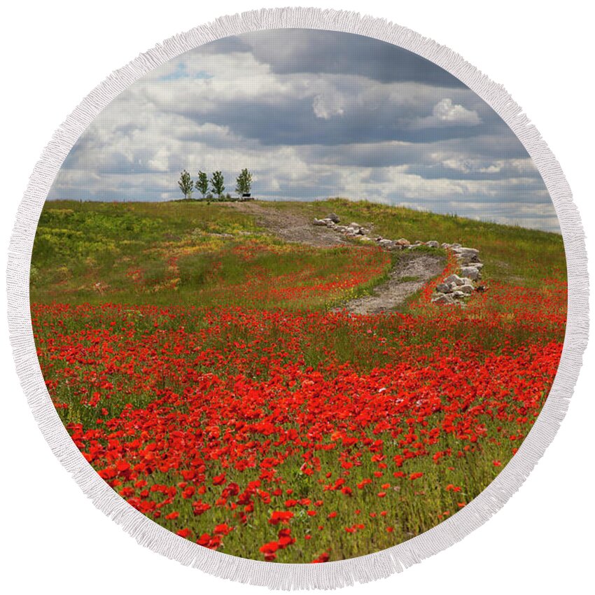 Poppy Field Round Beach Towel featuring the photograph Poppy Field 2 by Timothy Johnson