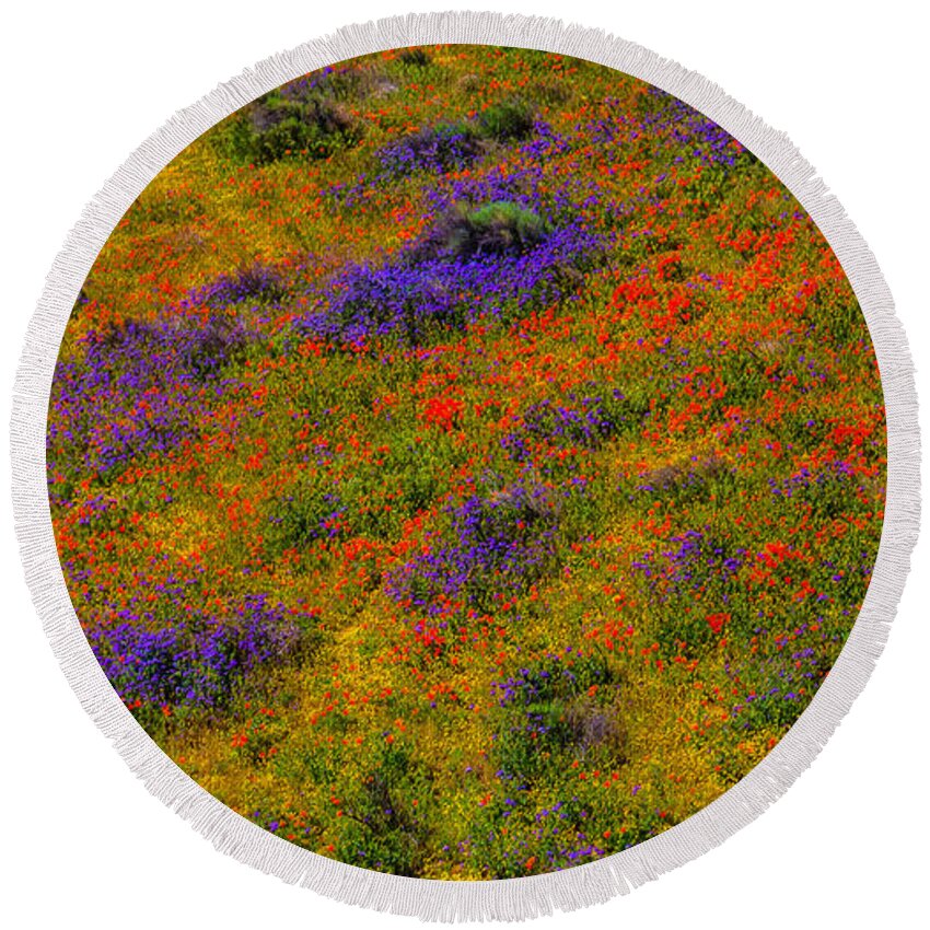 Poppy Round Beach Towel featuring the photograph Poppy Landscape by Garry Gay