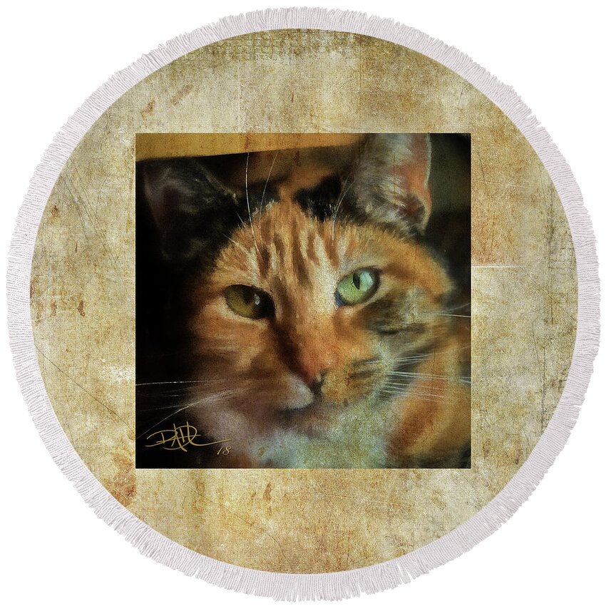 Texture Round Beach Towel featuring the digital art Portrait of a cat by Ricardo Dominguez