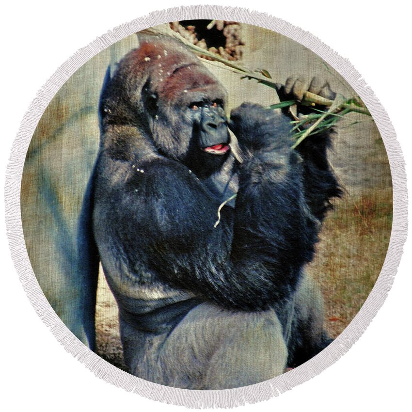 Gorilla Round Beach Towel featuring the photograph Portrait of A Gorilla by Lydia Holly