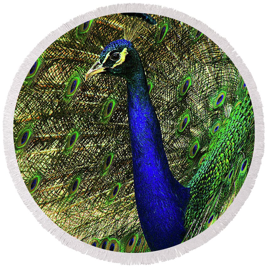 Peacock Round Beach Towel featuring the photograph Portrait of a Peacock by Jessica Brawley