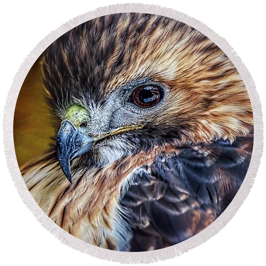 Red-tailed Hawk Round Beach Towel featuring the photograph Portrait Of A Red-tailed Hawk by Wes Iversen