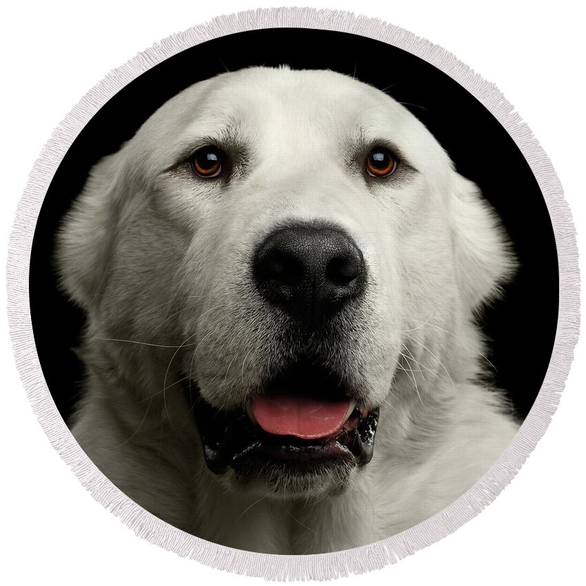 Dog Round Beach Towel featuring the photograph Huge Guy by Sergey Taran