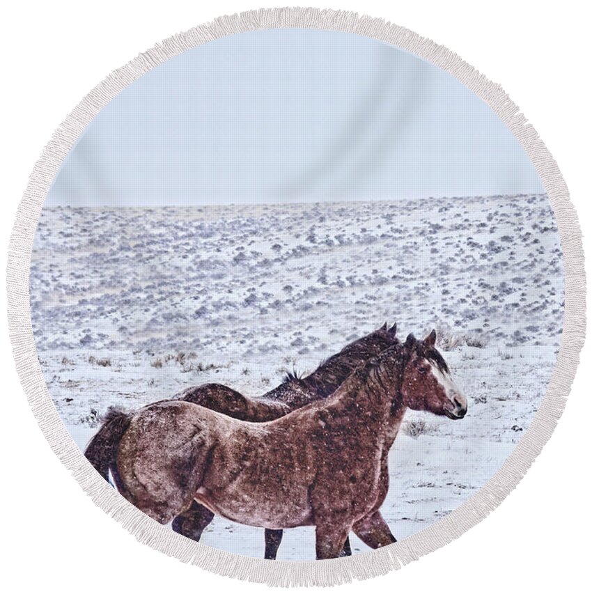 Snow Round Beach Towel featuring the photograph Prancing in the Snow by Amanda Smith